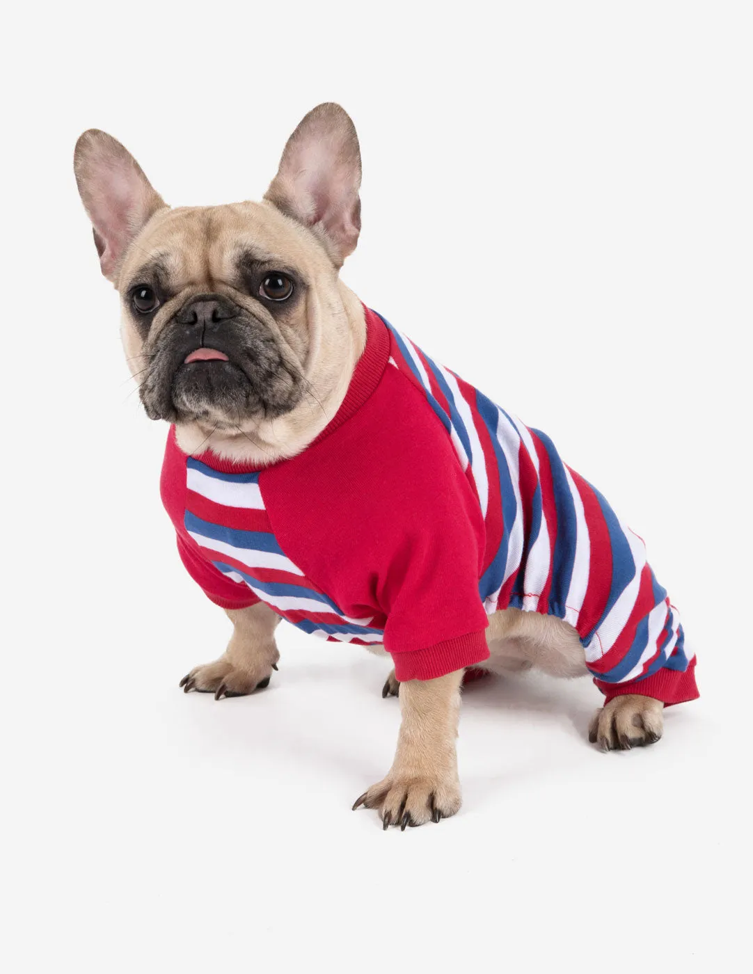 Dog Stripes Pajamas